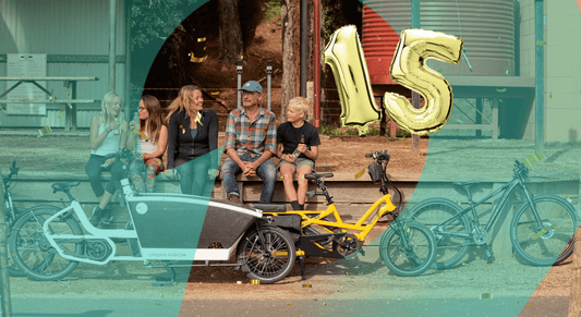 How Our Family's Journey to Mobility Became a Business: Celebrating 15 Years of Freedom - Dutch Cargo (AU)