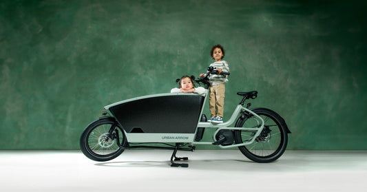 Ditch Your Second Car: How an E-Cargo Bike Can Save You Over $10,000 - Dutch Cargo (AU)