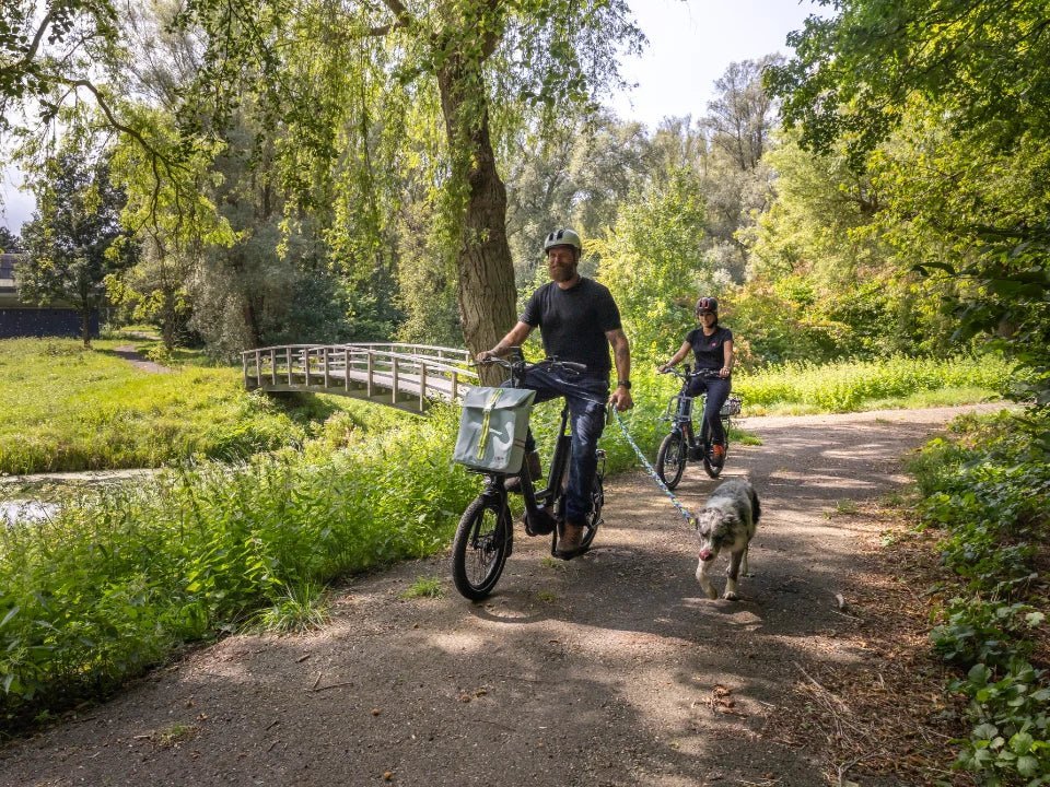 What Is an eBike? - Dutch Cargo (AU)