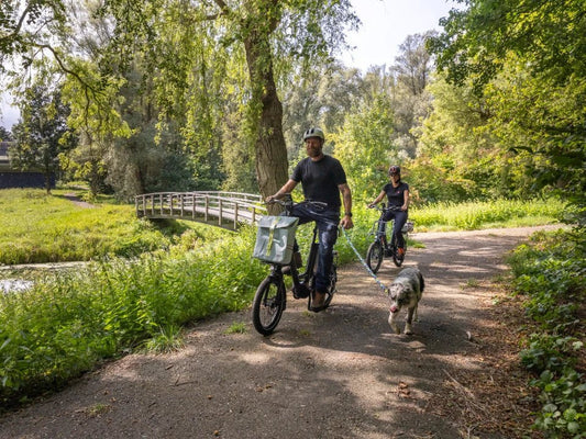 What Is an eBike? - Dutch Cargo (AU)