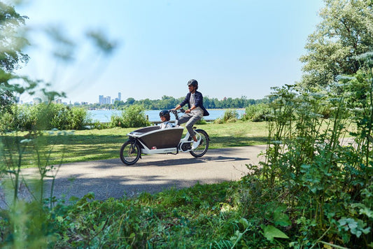 The Hidden Benefits of Riding a Cargo Bike for Families - Dutch Cargo (AU)