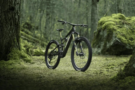 Unleashing the Trail: Amflow e MTB Models and Dutch Cargo's Premium Service in Australia - Dutch Cargo (AU)