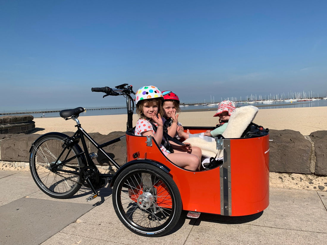 Trike Cargo Bike 101 - Dutch Cargo (AU)