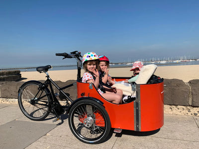 Trike Cargo Bike 101