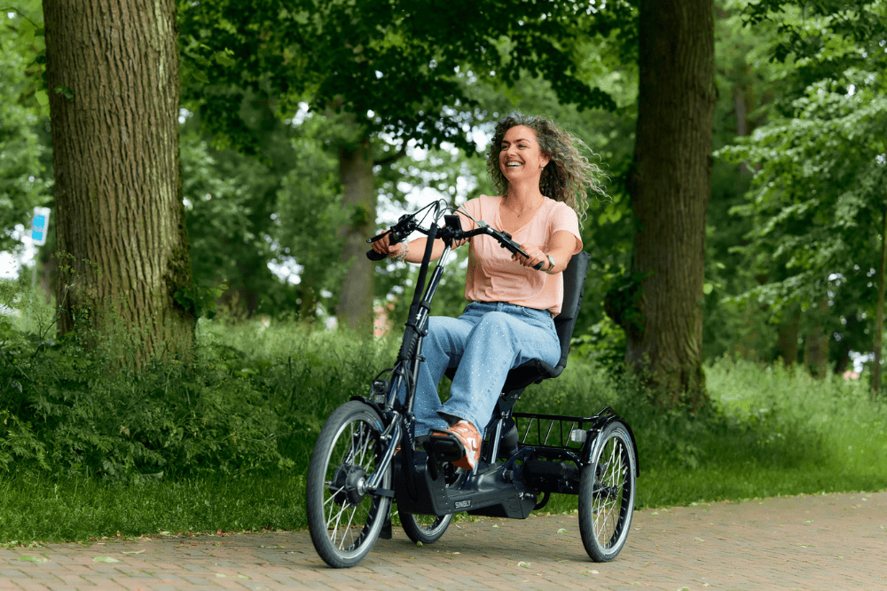 Electric Trikes - Dutch Cargo (AU)