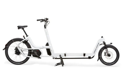 Business & Delivery eBikes