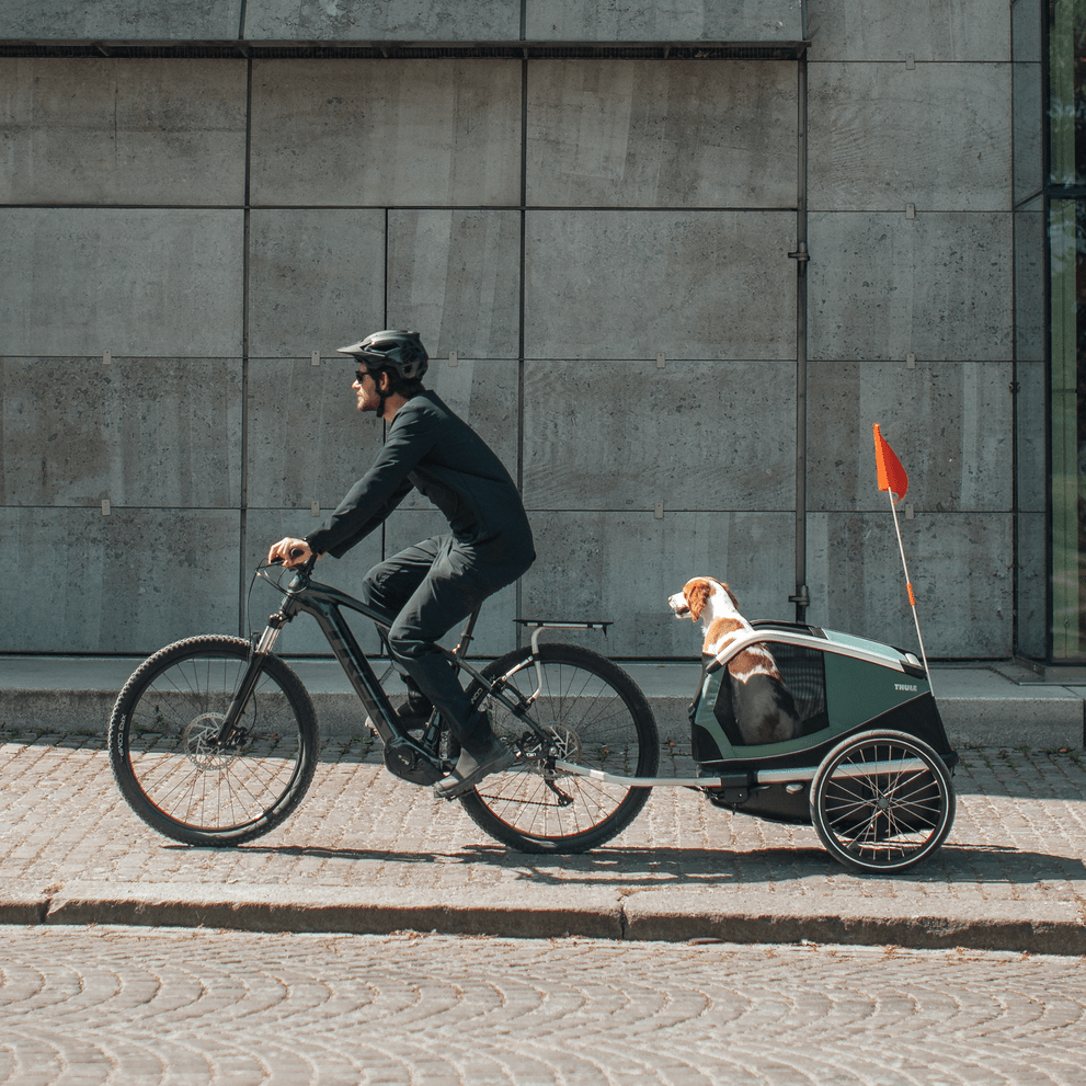 Thule Bexey Dog Trailer - Dutch Cargo (AU) - Thule Accessories - Accessories - Thule Bexey Dog Trailer