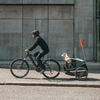 Thule Bexey Dog Trailer - Dutch Cargo (AU) - Thule Accessories - Accessories - Thule Bexey Dog Trailer