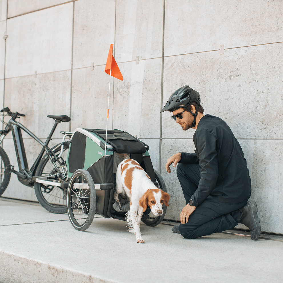 Thule Bexey Dog Trailer - Dutch Cargo (AU) - Thule Accessories - Accessories - Thule Bexey Dog Trailer