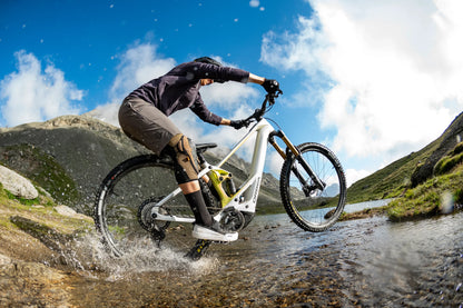 Orbea Wild ST - Dutch Cargo (AU) - Dutch Cargo (AU) - Orbea Wild ST