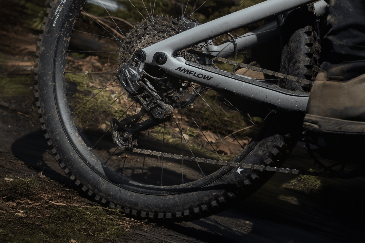 Amflow PR Carbon eMTB 2027 - Dutch Cargo (AU) - Amflow - E - bike - Amflow PR Carbon eMTB 2027