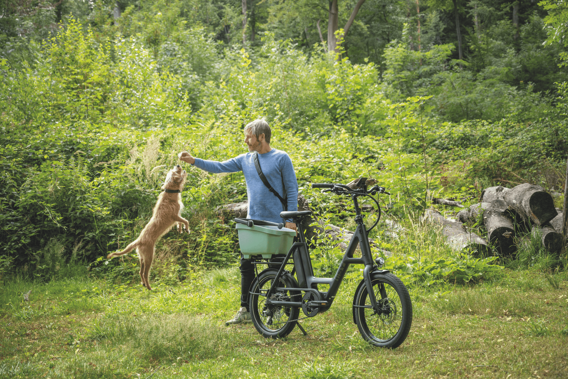 i:SY Compact Urban - Dutch Cargo (AU) - i:SY - E - bike - i:SY Compact Urban