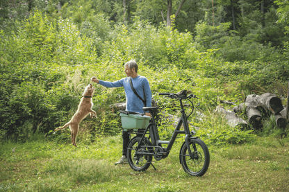 i:SY Compact Urban - Dutch Cargo (AU) - i:SY - E - bike - i:SY Compact Urban