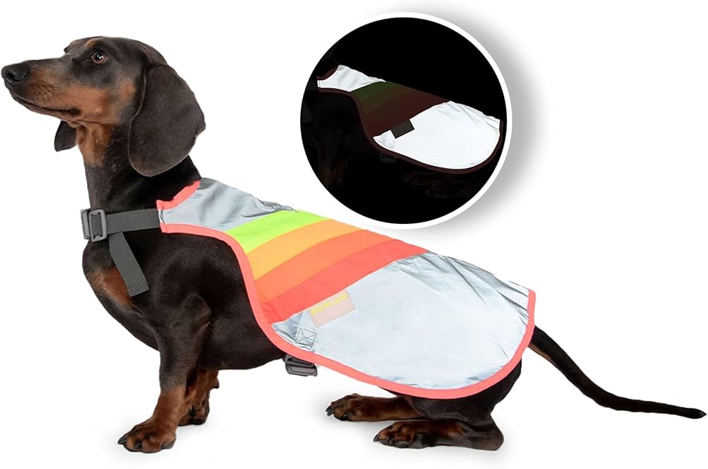 Go Fluo - Luna Dog - Dutch Cargo (AU) - GoFluo Accessories - Accessories - Go Fluo - Luna Dog