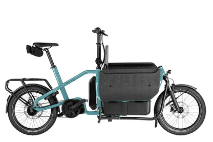 Riese & Muller Carrie2 Electric Bike