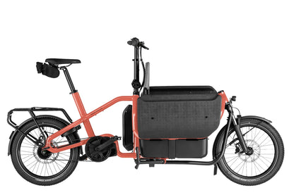 Riese & Muller Carrie2 Electric Bike