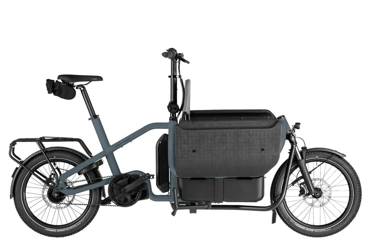 Riese & Muller Carrie2 Electric Bike