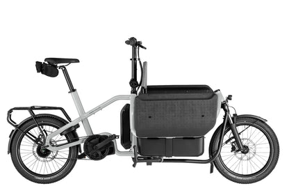 Riese & Muller Carrie2 Electric Bike