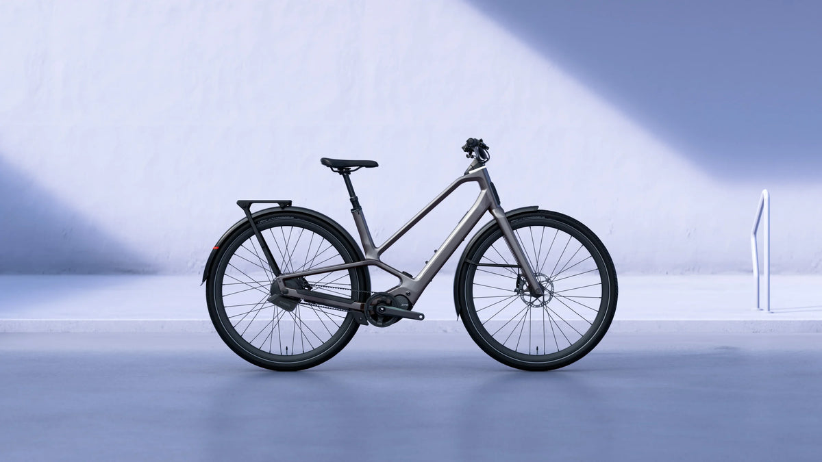 Orbea Diem Electric Bike - Dutch Cargo (AU) - Orbea - E - bike - Orbea Diem Electric Bike