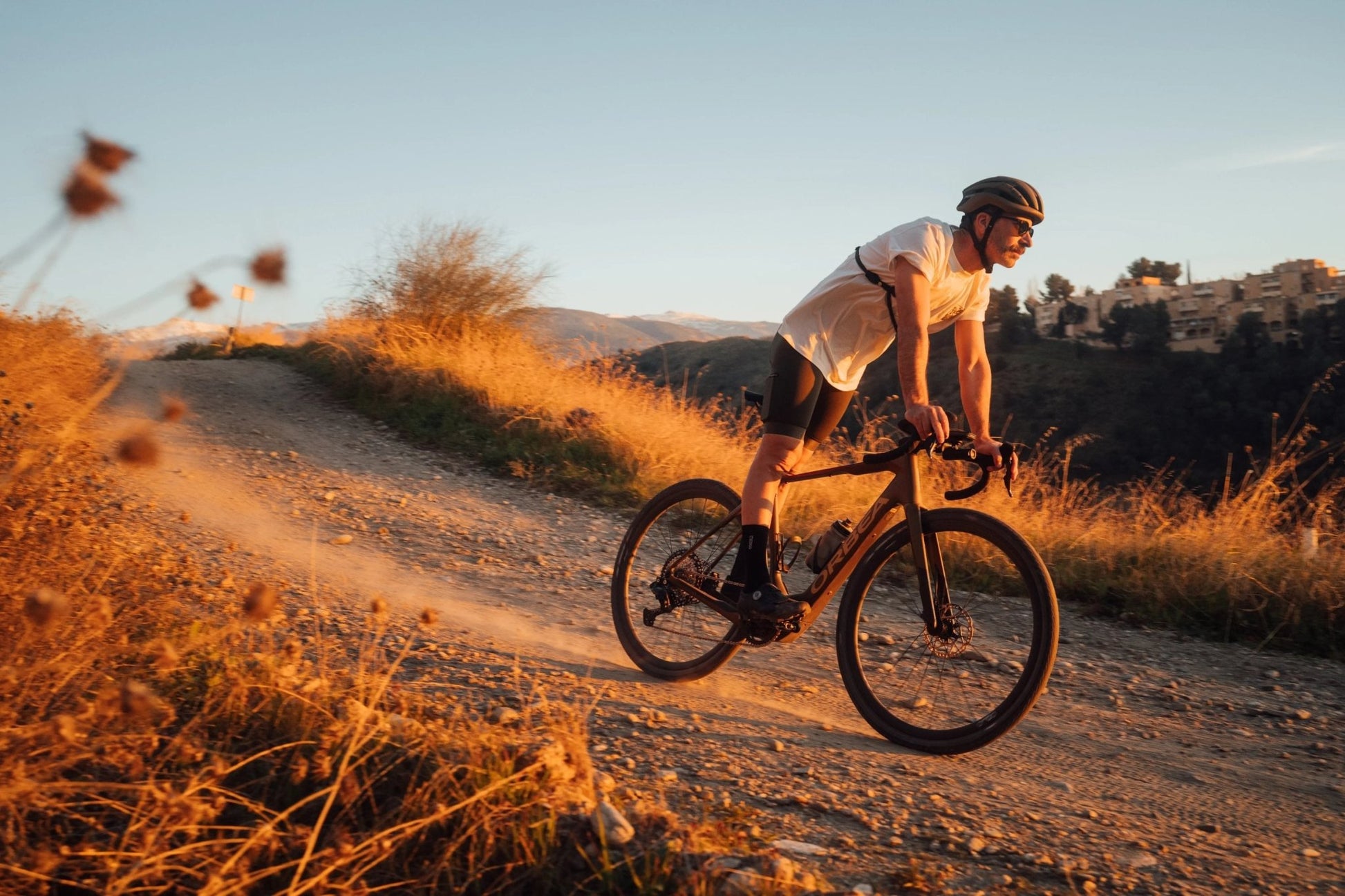 Orbea Denna Electric Bike - Dutch Cargo (AU) - Orbea - E - bike - Orbea Denna Electric Bike