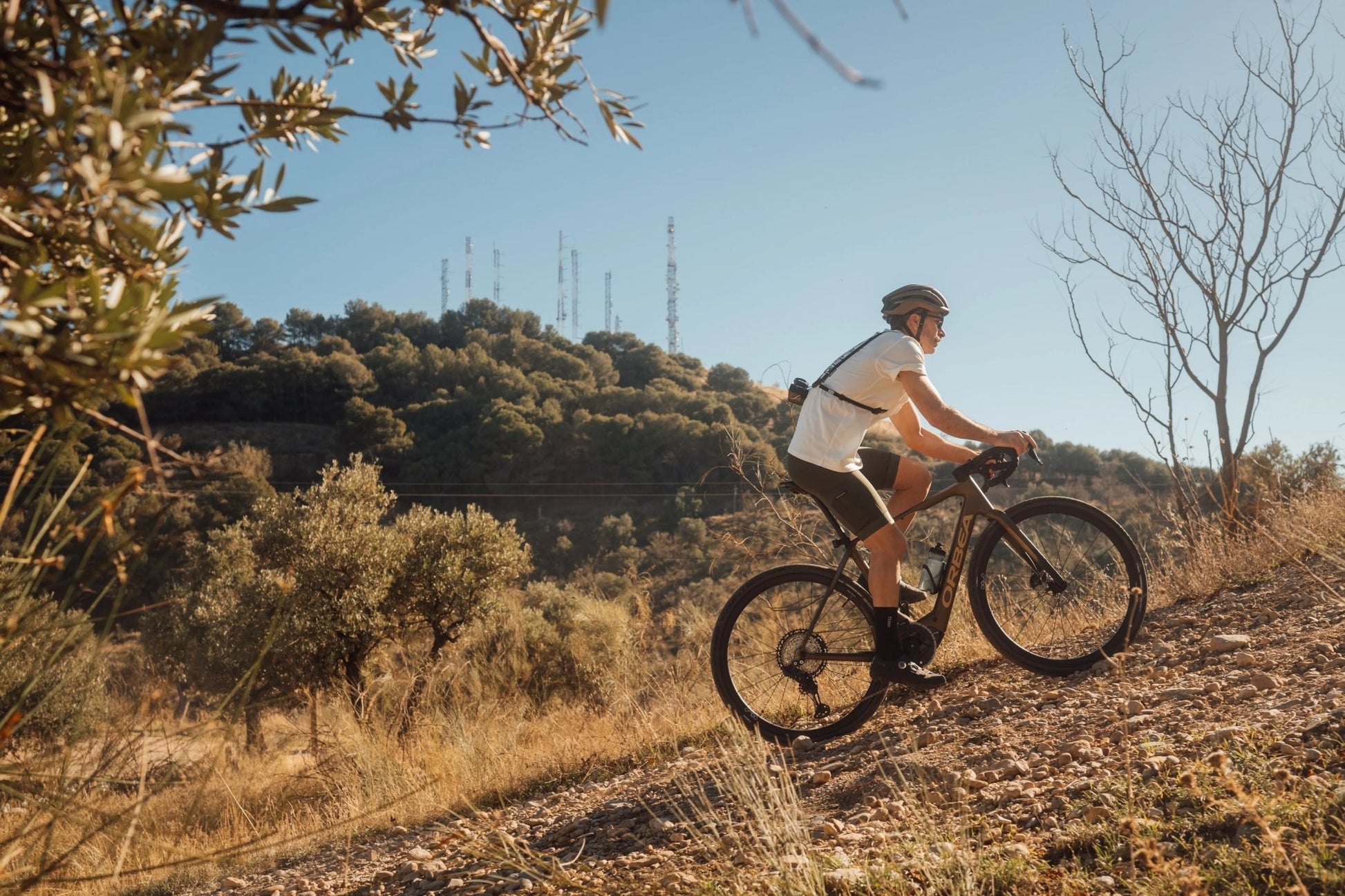 Orbea Denna Electric Bike - Dutch Cargo (AU) - Orbea - E - bike - Orbea Denna Electric Bike