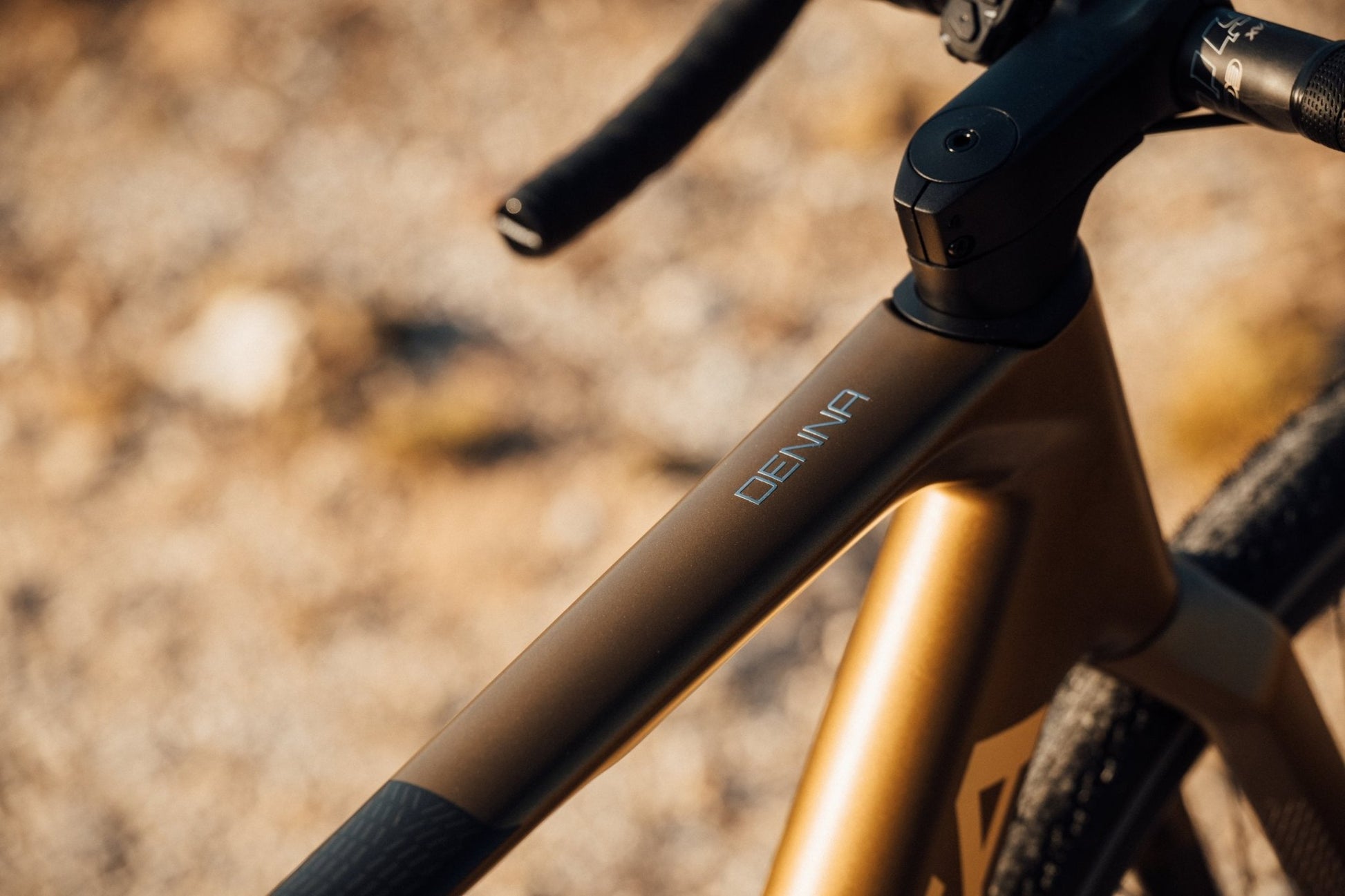Orbea Denna Electric Bike - Dutch Cargo (AU) - Orbea - E - bike - Orbea Denna Electric Bike