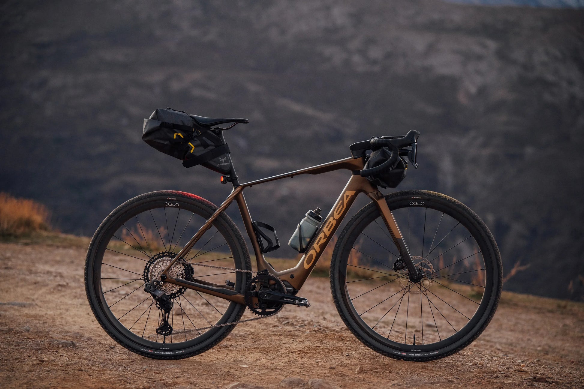 Orbea Denna Electric Bike - Dutch Cargo (AU) - Orbea - E - bike - Orbea Denna Electric Bike