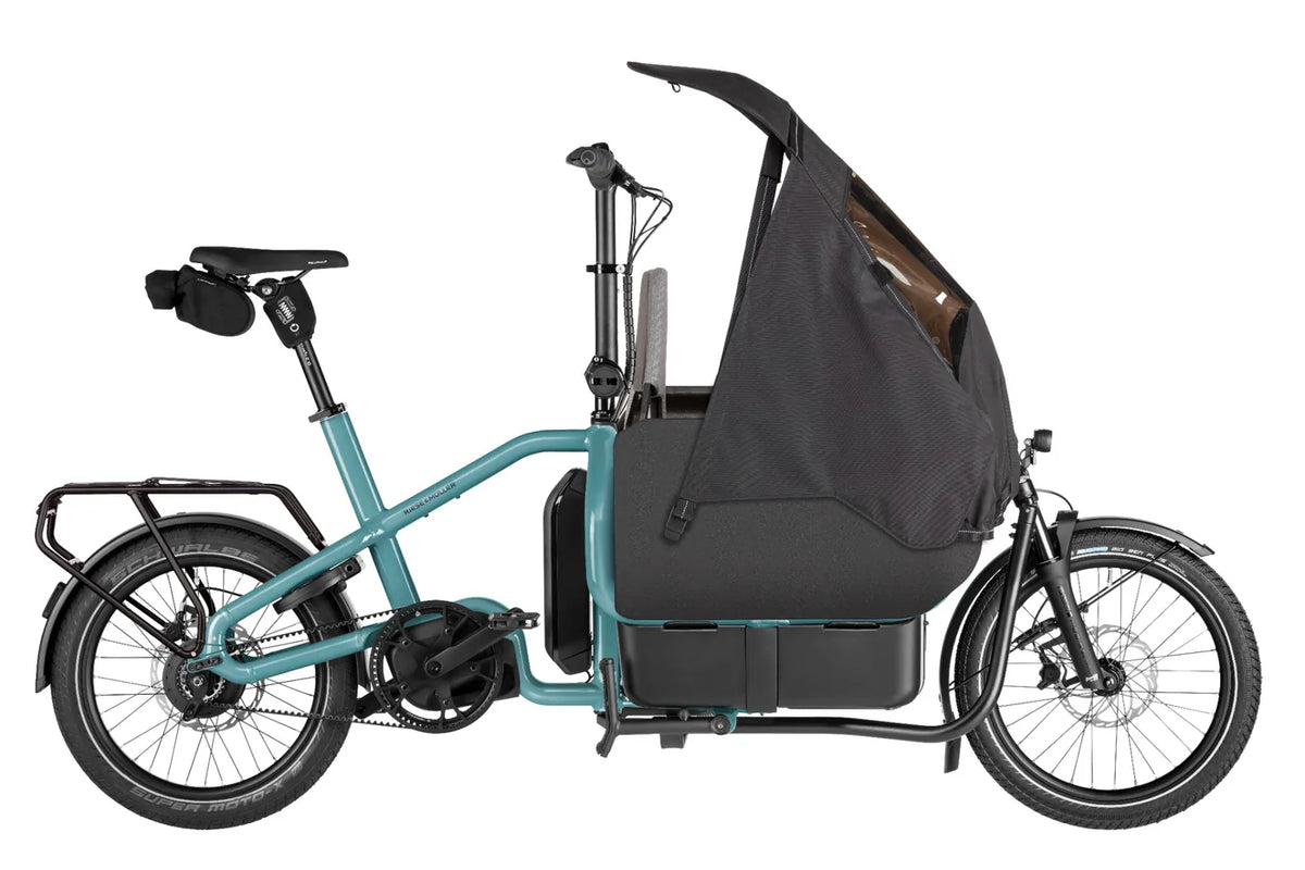 Riese & Muller Carrie2 Electric Bike