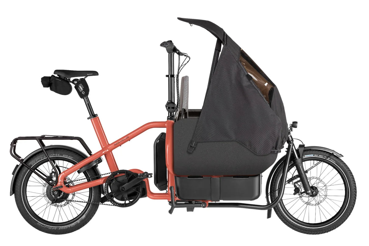 Riese & Muller Carrie2 Electric Bike