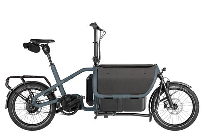 Riese & Muller Carrie2 Electric Bike