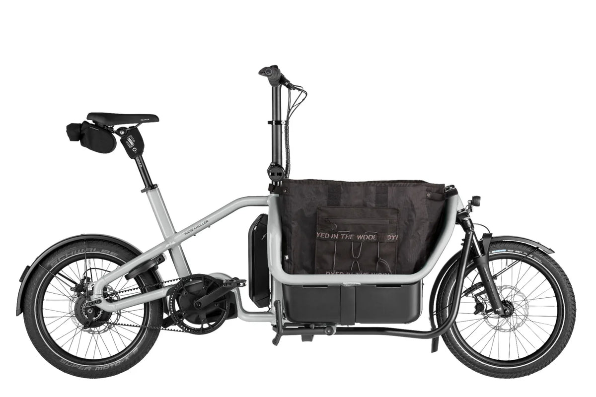 Riese & Muller Carrie2 Electric Bike
