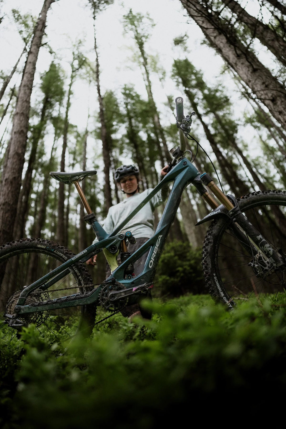 Orbea Wild LT H-Series 2027 (Avinox)