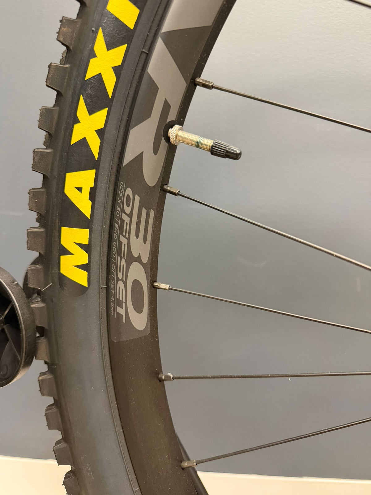 Orbea Rise LT M20 - Dutch Cargo (AU) - Orbea - E - bike - Orbea Rise LT M20