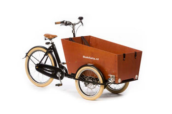 Dutch Cargo Trike