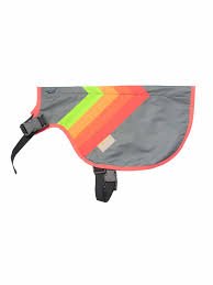 Go Fluo - Luna Dog - Dutch Cargo (AU) - GoFluo Accessories - Accessories - Go Fluo - Luna Dog