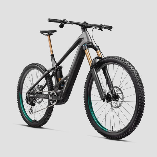 wild E bikes