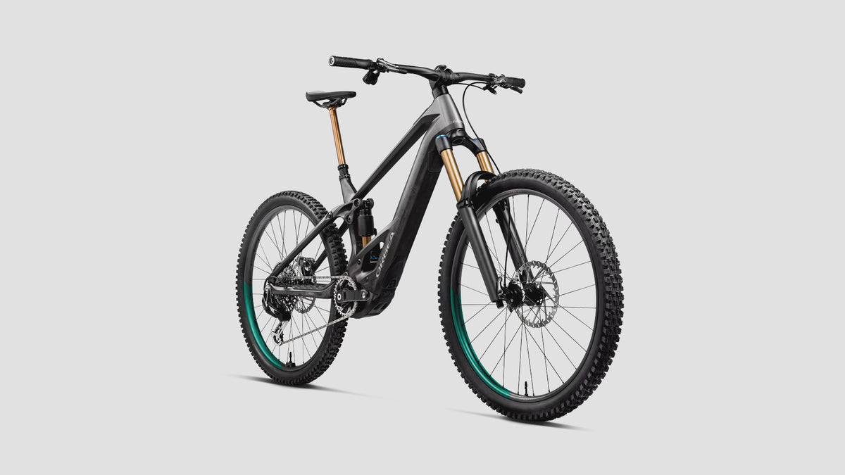 wild E bikes