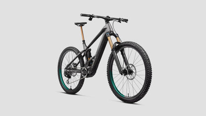 wild E bikes