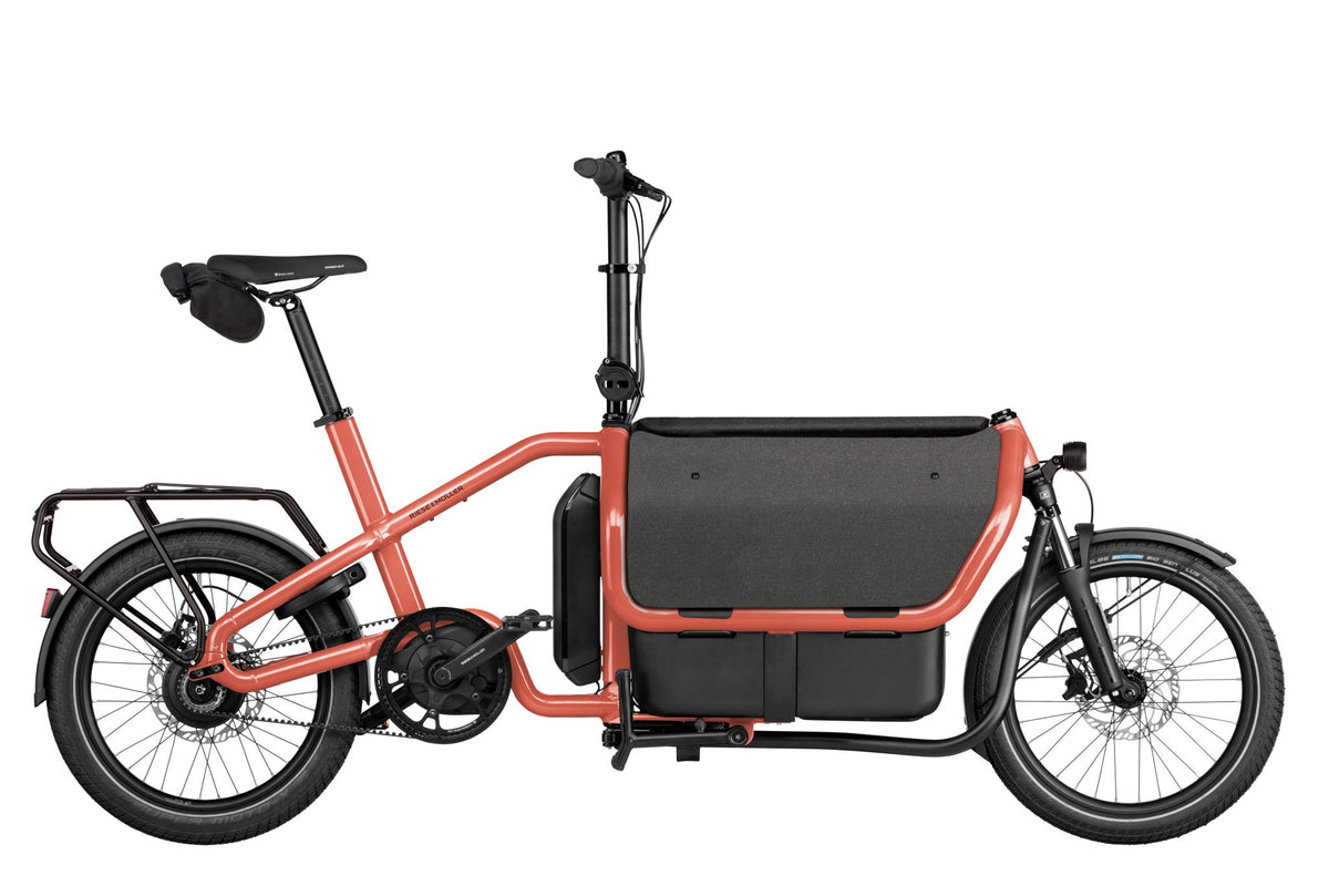 Riese & Muller Carrie2 Electric Bike - Dutch Cargo (AU) - Riese and Muller - E - bike - Riese & Muller Carrie2 Electric Bike